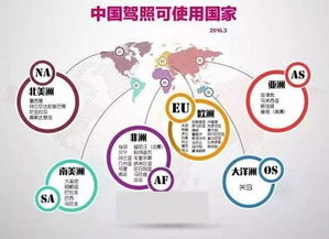 厲害了word中國駕照 約上好友，開啟全球自駕之旅！